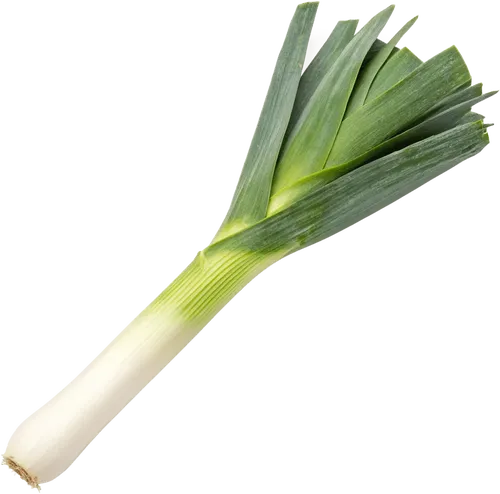 1根大葱