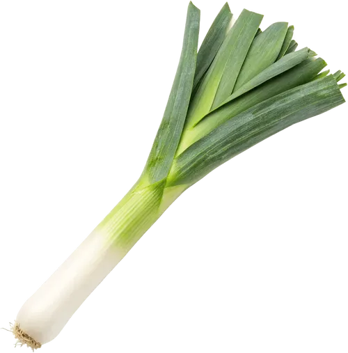 1根大葱
