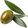 1颗橄榄