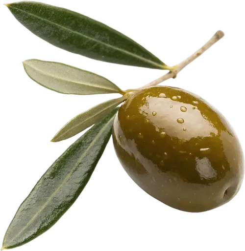 1颗橄榄