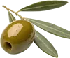 1颗橄榄