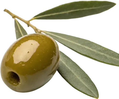 1颗橄榄