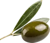 1颗橄榄