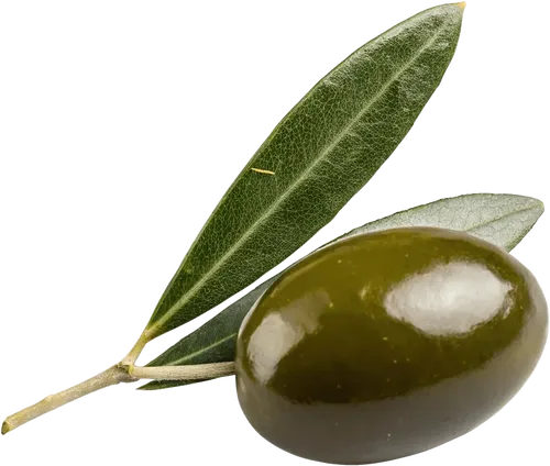 1颗橄榄