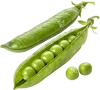 1条豌豆