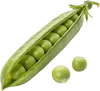 1条豌豆