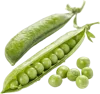 1条豌豆