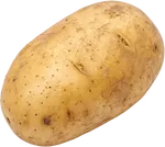 土豆