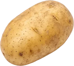 土豆
