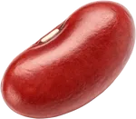 红豆
