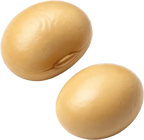 2颗黄豆