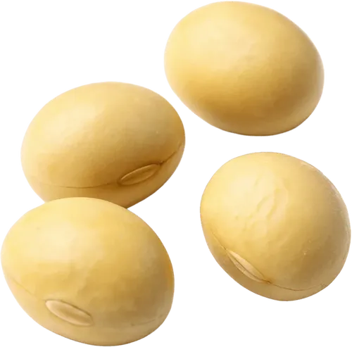 4颗黄豆