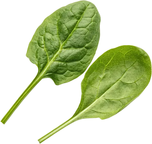 2片菠菜
