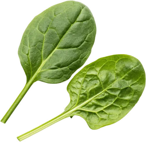 2片菠菜