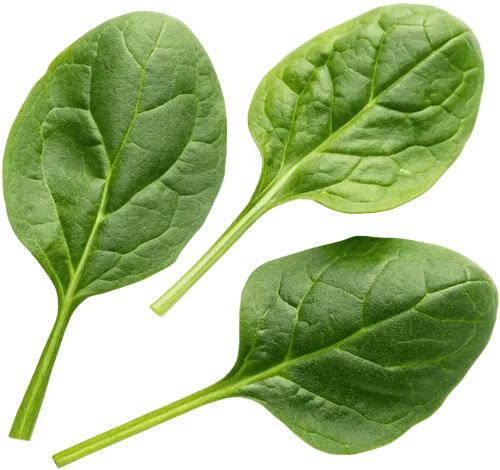 3片菠菜