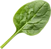 一篇菠菜