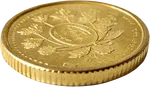 金币