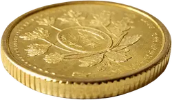金币