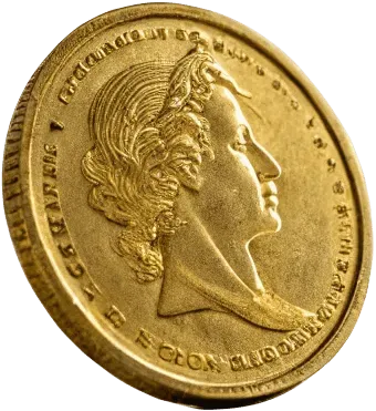 1个金币