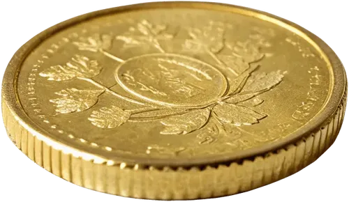 1个金币