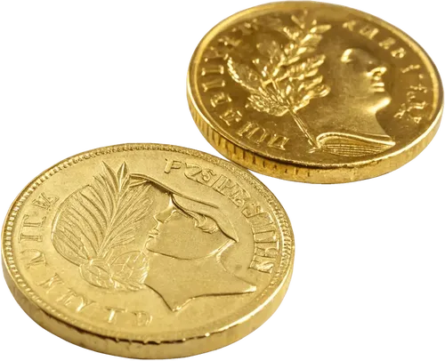 2个金币