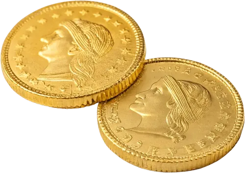 2个金币
