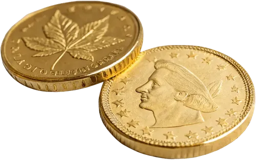 2个金币