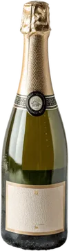1瓶香槟酒