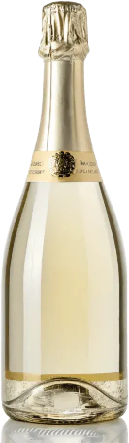 1瓶香槟酒