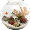 1个水族馆