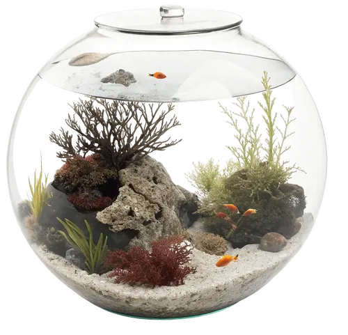 1个水族馆
