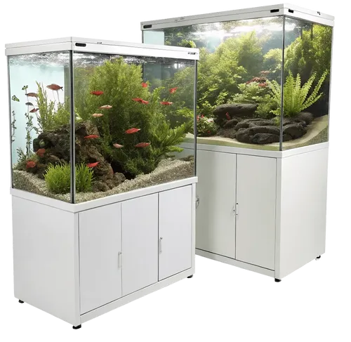 2个水族馆