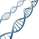 DNA