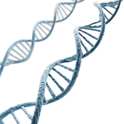 DNA