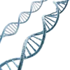 DNA