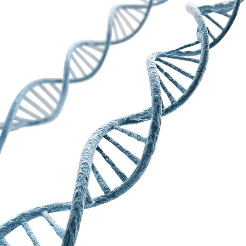 DNA