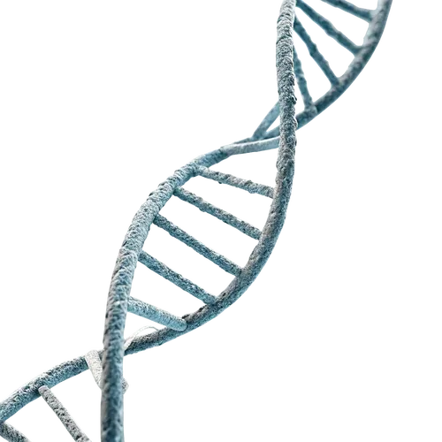 DNA