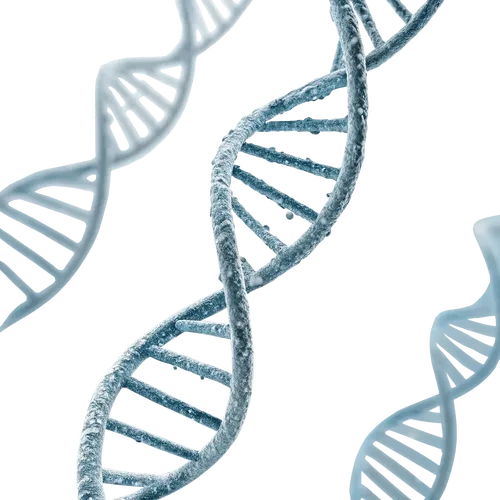 DNA