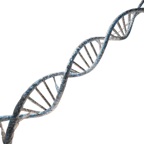 DNA