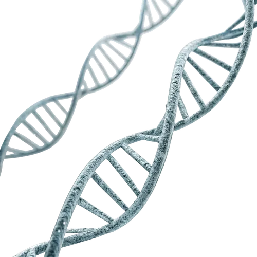 DNA