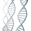 DNA