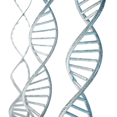 DNA