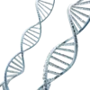 DNA