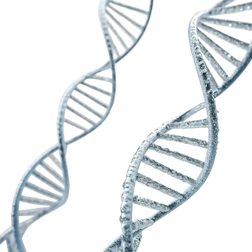 DNA