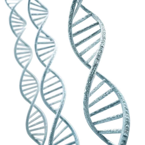 DNA