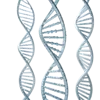 DNA