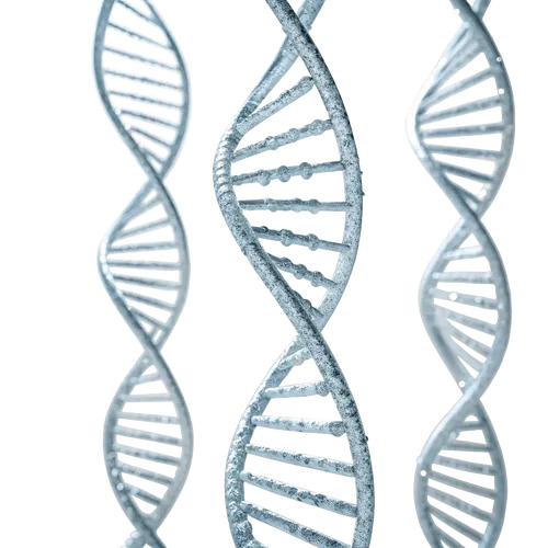 DNA