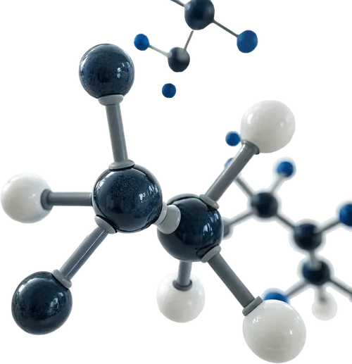 1组分子