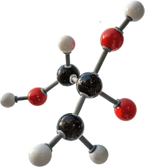 1组分子