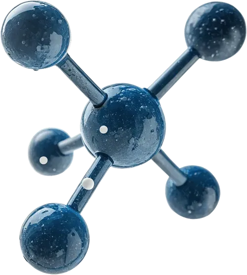1组分子